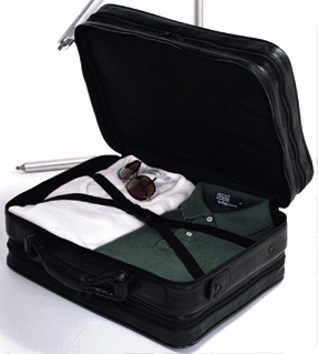 Leather travel overnighter bags